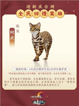 天龙八部私服进去闪